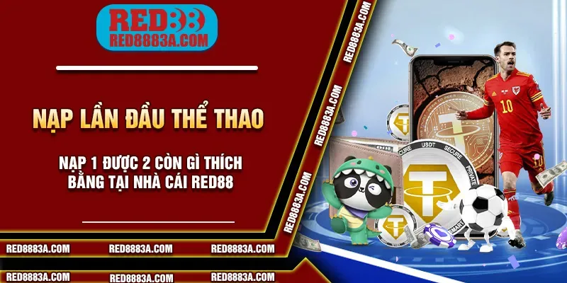 Hướng dẫn cài đặt cờ úp chi tiết để chơi cờ úp dễ dàng và nhanh chóng