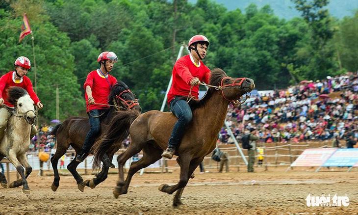 Khám phá đào vàng và những bí quyết chiến thắng tại đào vàng