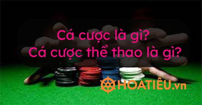 Khám phá 24h com vn24 với nhiều ưu đãi hấp dẫn từ 24h com vn24