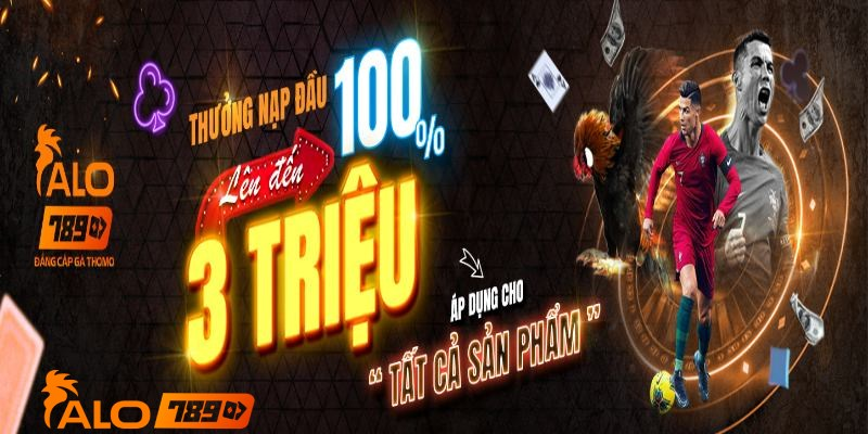 Khám phá các bai trinh chieu hay giúp bài thuyết trình trở nên ấn tượng với người nghe